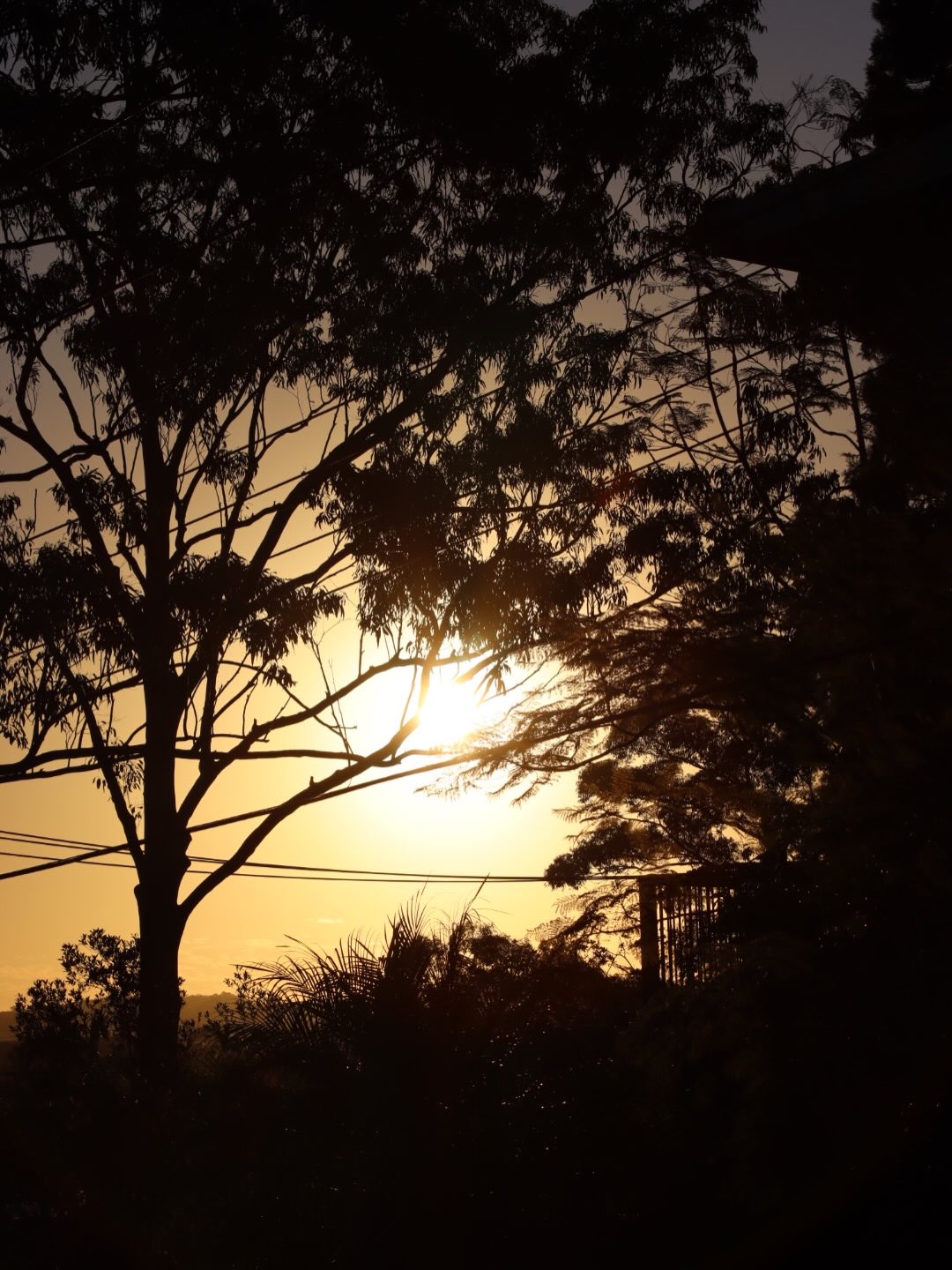 Sunset photograph