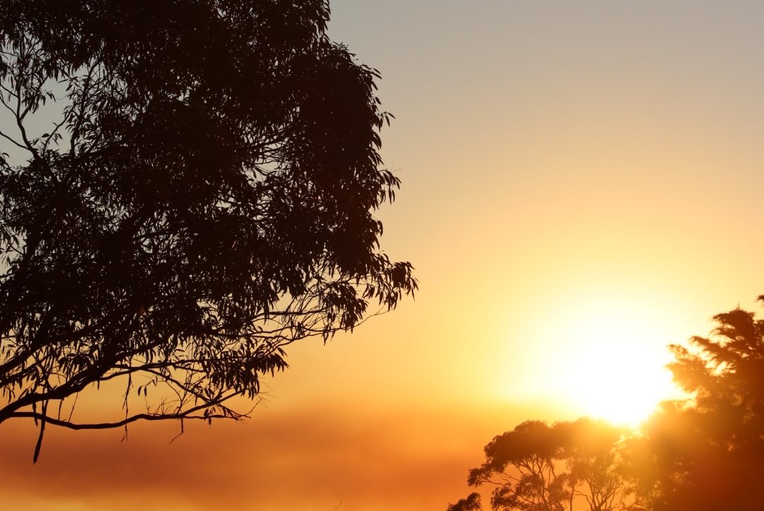 Sunset photograph
