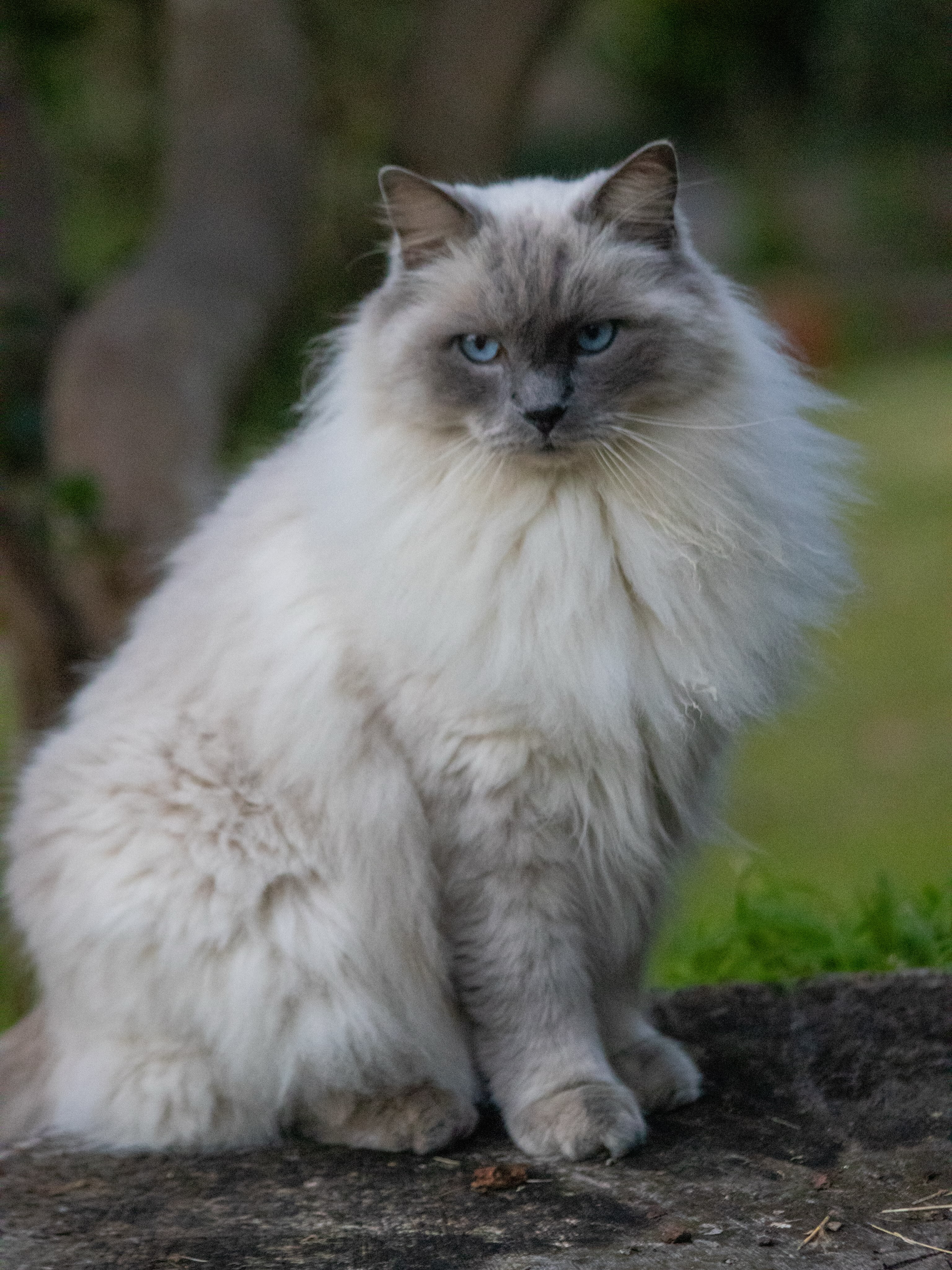 Wildlife & Nature photograph